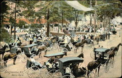 Ross Park Postcard