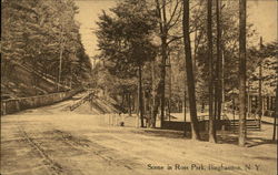 Scene in Ross Park Postcard