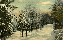 Winter in Ross Park Postcard