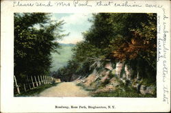 Roadway, Ross Park Postcard