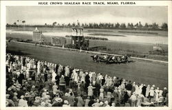 Crowd at Hialeah Race Track Postcard