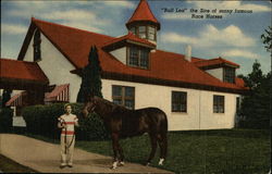 "Bull Lea" The Sire Of Many Famous Race Horses Postcard