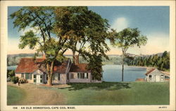 An Old Homestead Cape Cod, MA Postcard Postcard