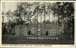 Alvin C. York Agricultural Institute Jamestown, TN Postcard Postcard