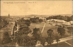 The Quadrangle at Cornell University Postcard