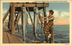 A Catch of Tarpon from Gulf Waters Biloxi, MS Postcard Postcard