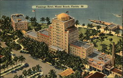 Flamingo Hotel Miami Beach, FL Postcard Postcard