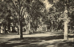 Main Street Looking North Sharon, CT Postcard Postcard