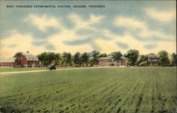 West Tennessee Experimental Station Jackson, TN Postcard Postcard