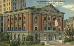 New England Museum of Natural History Postcard