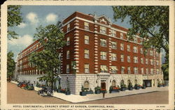 Hotel Continental Cambridge, MA Postcard Postcard