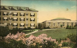 Mountain View House, Flower Garden Postcard