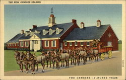 The Genesee 12-Horse Team Rochester, NY Postcard Postcard