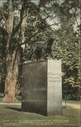 The Catamount In Bronze - Site of The Catamount Tavern 1767 Bennington, VT Postcard Postcard