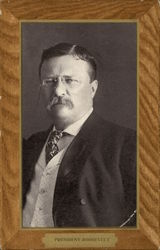 President Roosevelt Postcard