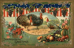 Thanksgiving Greetings - Turkeys Postcard