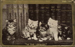 In the Library Cats Postcard Postcard