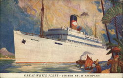 Great White Fleet - United Fruit Company Steamers Postcard Postcard