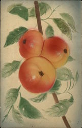 Orange/Red Fruit Branch Postcard