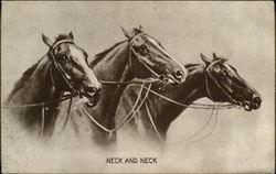 Neck and Neck Postcard