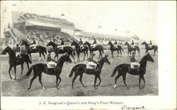 J.E. Seagram's Queen's and King's Plate Winners Horse Racing Postcard Postcard