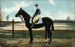 Jockey Sitting on Black Horse Postcard