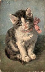 Grey & White Kitten with Pink Bow Postcard