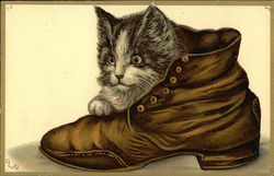 Kitten in a Boot Postcard