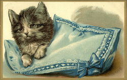 A kitten with a pillow Cats Postcard Postcard