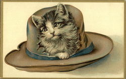 Kitten in a Hat Cats Postcard Postcard