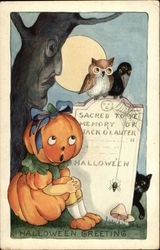 Halloween Greeting Postcard Postcard