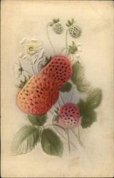 Five Strawberries and Three White Flowers Postcard