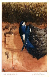 The House-Martin Postcard