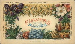 Flowers of the Allies Postcard Postcard