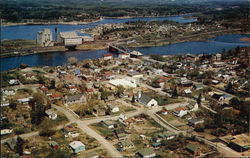 View of Town and Lake of Woods Milling Company Postcard