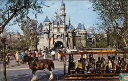 Sleeping Beauty Castle - Fantasyland Postcard