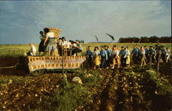 Whitsuntide Festival Ramat Yohanan, Israel Middle East Postcard Postcard