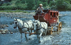 T.L.T. Stage Coach Crossing the Greenbrier River Cass, WV Postcard Postcard