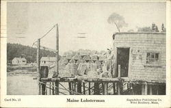 Maine Lobsterman Postcard