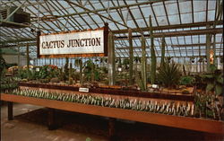 Lexington Gardens Inc. - Cactus Junction Postcard