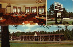 Tony London's Road House Trout Lake, MI Postcard Postcard