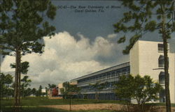 University of Miami Coral Gables, FL Postcard Postcard