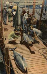 Fishing is Good in Florida Waters Postcard