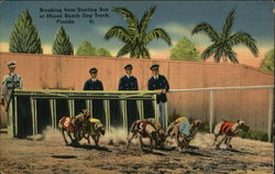 Breaking From Starting Box at Miami Beach Dog Track Florida Postcard Postcard