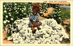 Sittin' Soft in Dixieland Postcard