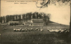 Berea College Farm Kentucky Postcard Postcard