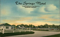 The Springs Motel Postcard