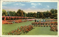 Rose Garden, Roger Williams Park Postcard