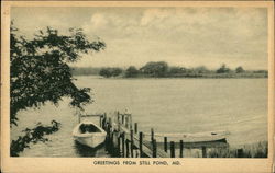 Greetings from Still Pond, MD Maryland Postcard Postcard