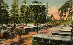 A Trailer Camp in Florida Postcard Postcard